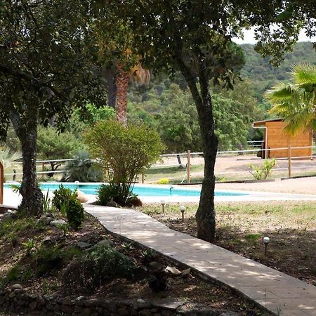 Villa Villekulla dépendance avec spa privatif Le Plan-de-la-Tour Extérieur photo